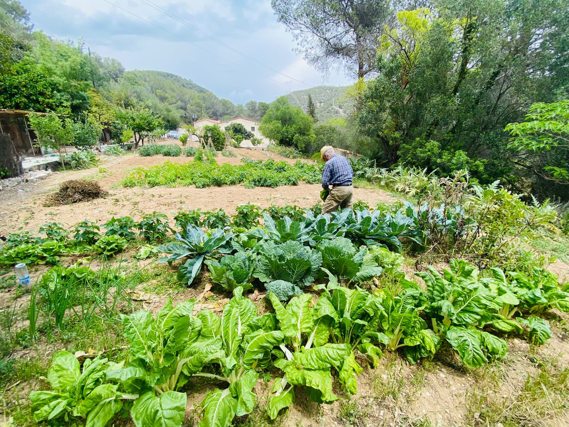 The estate's organic vegetable garden in the valley