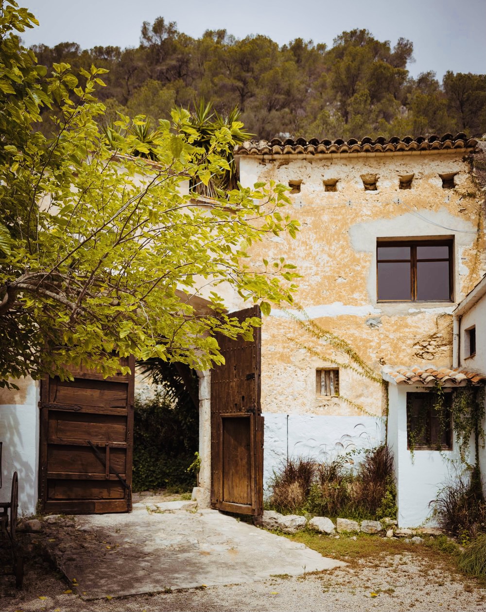 Courtyard of the historic masia with fig tree and timber gates