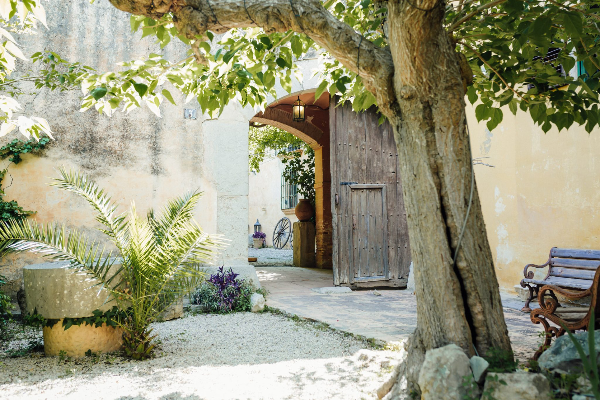 Sunlit masia courtyard with an old tree and open timber gate